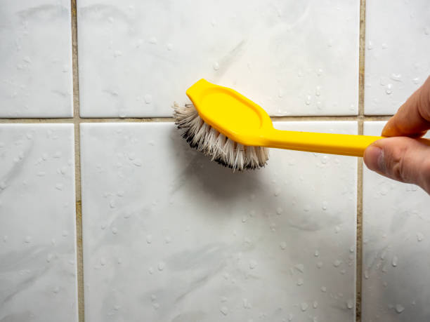 Professional Mold Removal in South Cleveland, TN