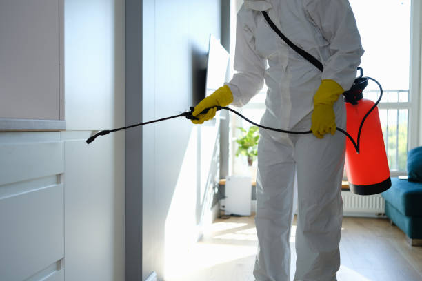 Best Commercial Mold Removal  in South Cleveland, TN